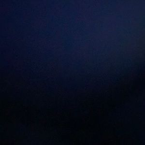 Meet your Posher, Angelina